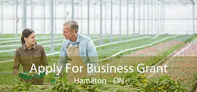 Apply For Business Grant Hamilton - ON